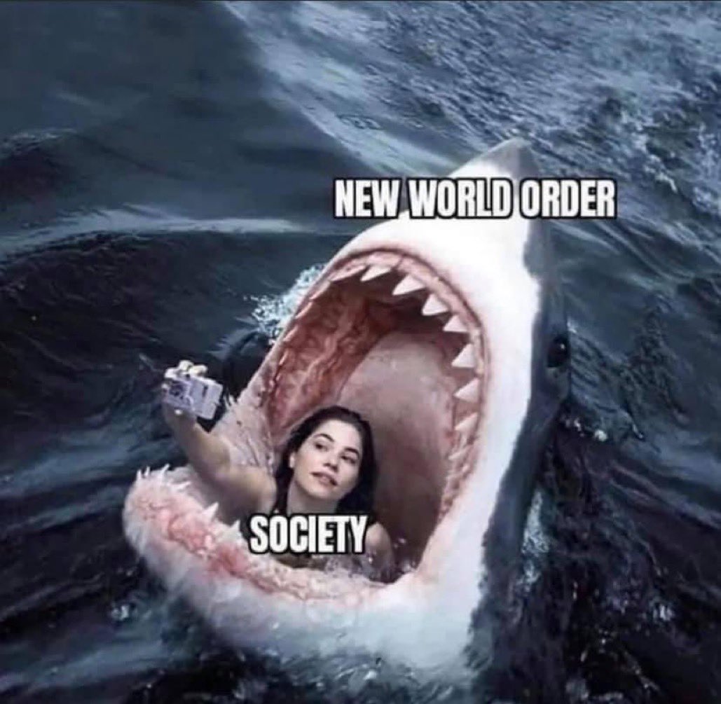 Emeraldtyger tweet media