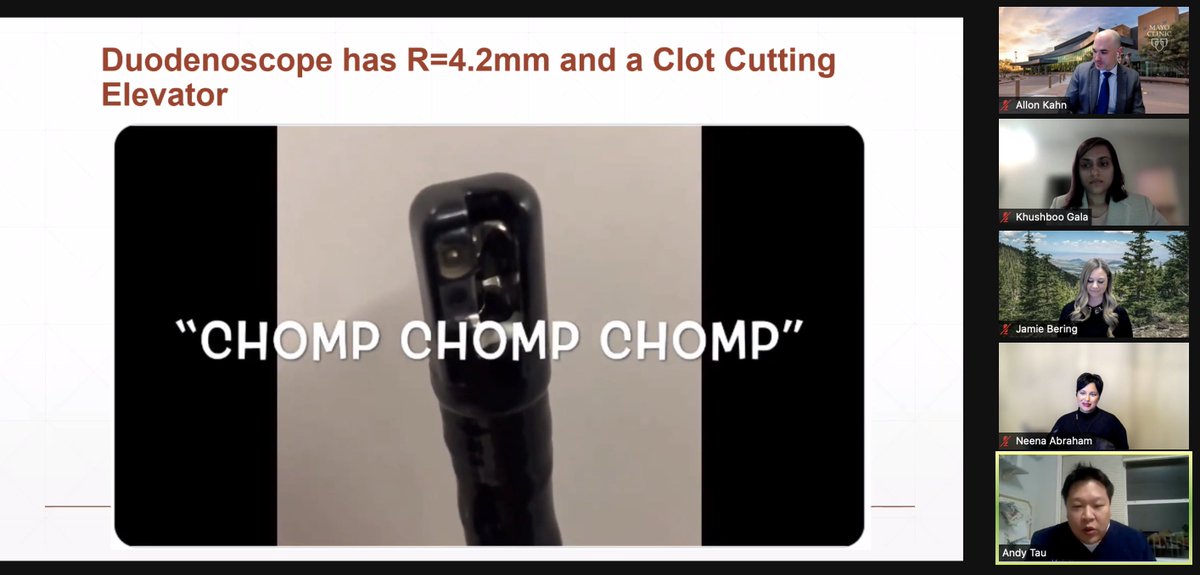 JamesHaddadMD's tweet image. #GITwitter's @DrBloodandGuts put on an absolute *CLINIC* on management of acute #GIBleeding for @ASGEendoscopy tonight.  Some favorite slides, including #PoiseuillesLaw, the #HungryDuodenoscope, and tips for #hemospray

1/2