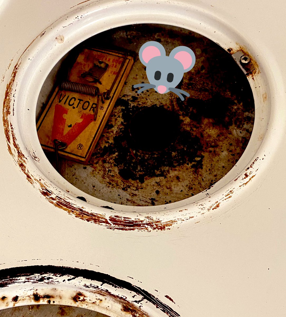 sunnydayzsoon's tweet photo. Finally home from a side job the things I’ve seen and had to clean… 😕
The best was finding a mousetrap under the stove burners 😂 and this weird collection of bread tags 😂
I should draw and mint these 🤣
#NFT #horror #mousetrap #breadtags #cleaning #artist https://t.co/ZZL634Gigs