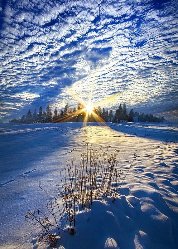 MARY_ESMAEELI's tweet photo. ✍
Good morning friends. 

#naturephography #fridaymorning https://t.co/Y3tSlJwTvo