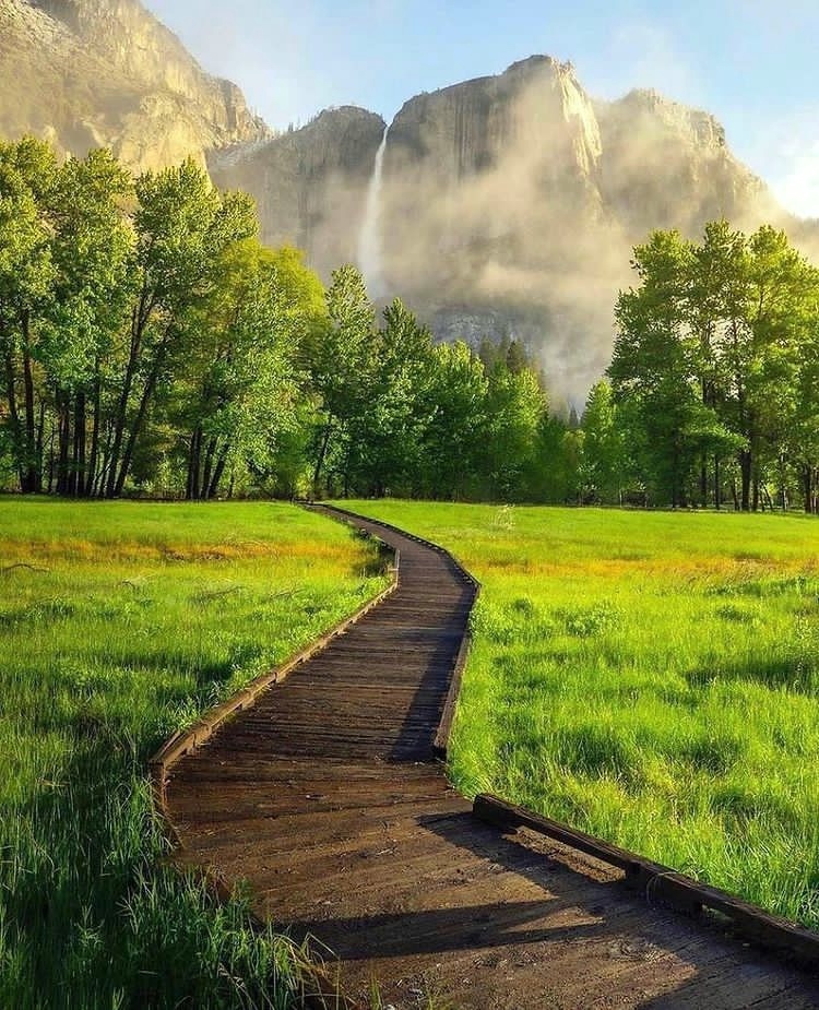 geography_point's tweet photo. Yosemite National Park https://t.co/SfLsrt6v1l