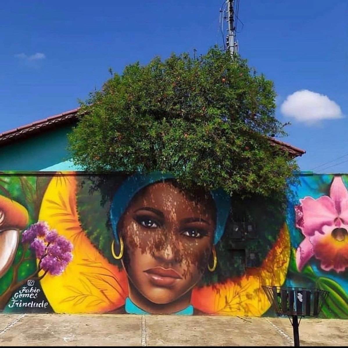 Want to join us for some green fun ? 
Please share such interesting locations where similar vegetation exists along the compound wall with us @TSMAUDOnline &amp; we will try &amp; make it interesting
