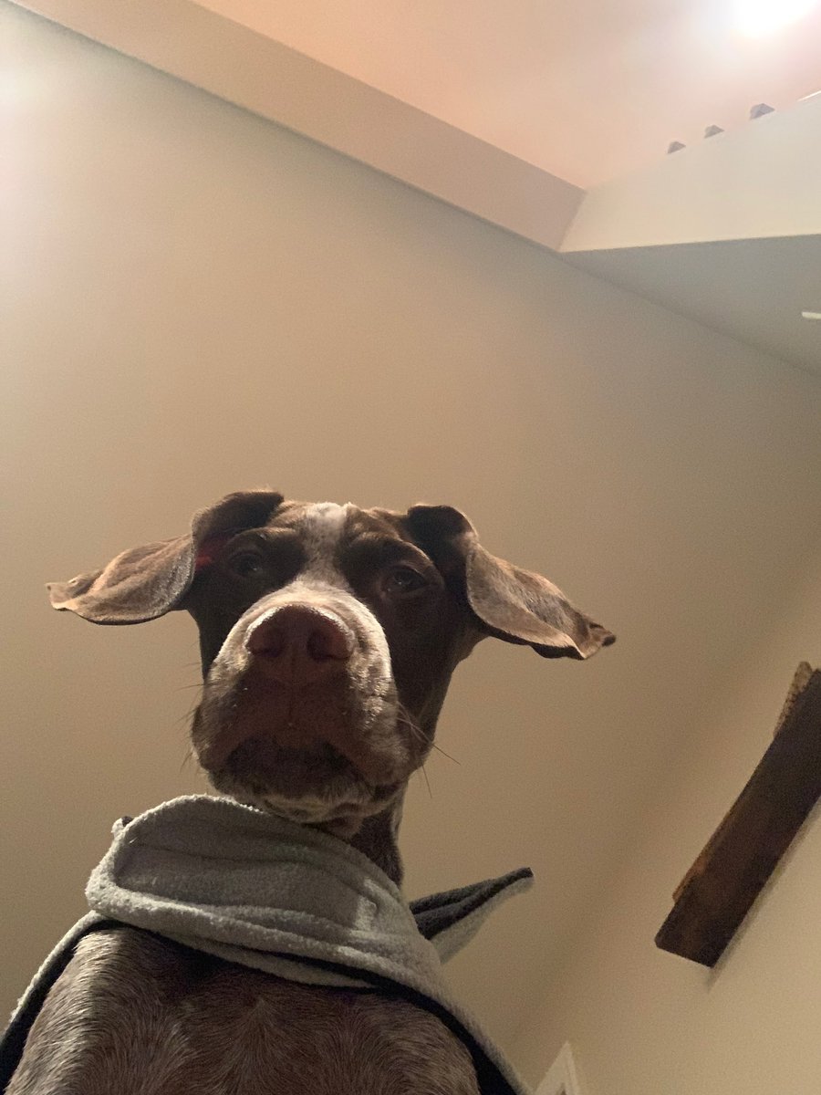 jmontanti31's tweet photo. got any games https://t.co/IH5tHNfZVq
