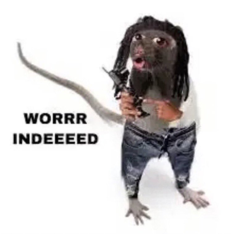 Javen Davis🦍 tweet media