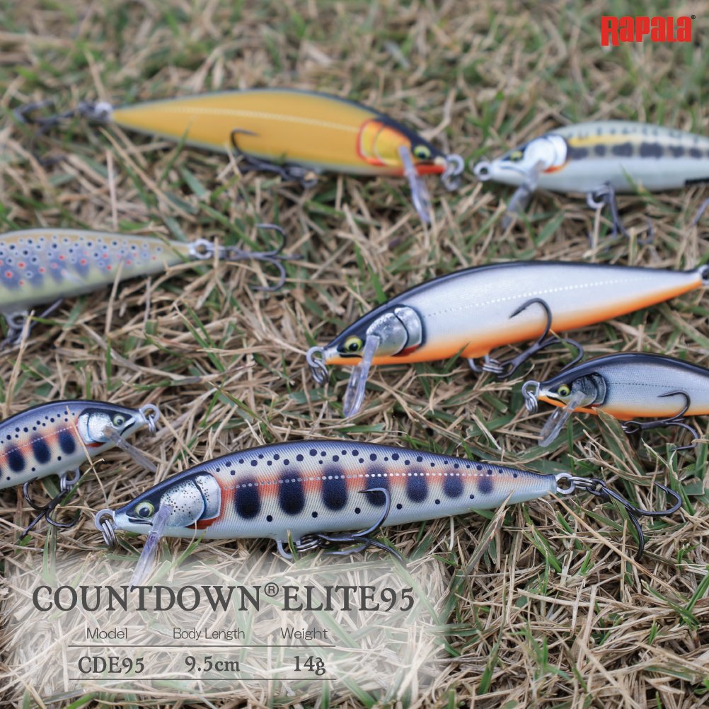 COUNTDOWN®ELITE95 カウントダウンエリート95 発売以降シーバスを