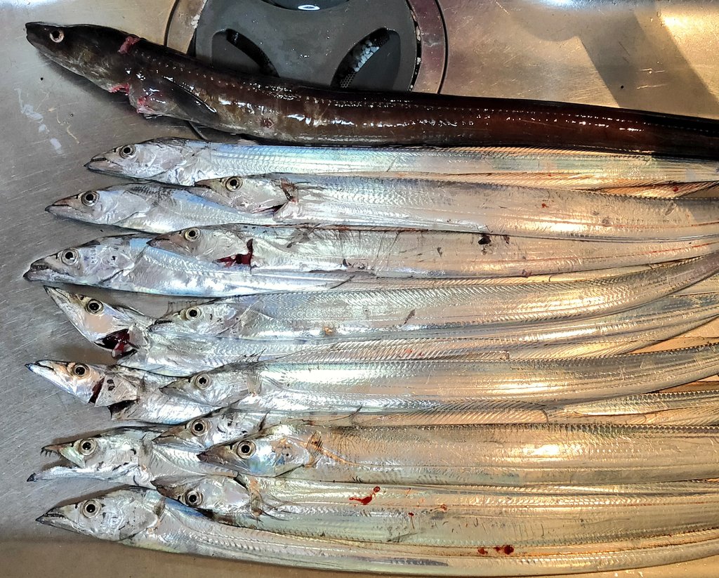 サーベリング Twitter Search Twitter