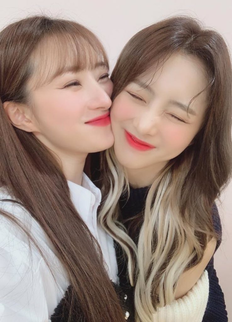 borarchives's tweet photo. happy birthday to our precious girl, I love you immensely ♡

#HappyYoohyeonDay 🐶 https://t.co/Dp9pg8cq6A