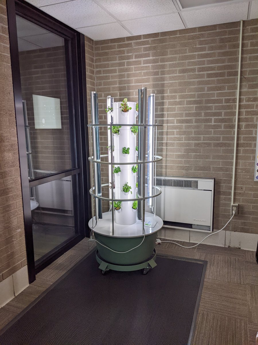 DrJ_cfprincipal's tweet photo. First day back at Gurney of 2022 and it's awesome to be greeted by these beautiful plants growing in our tower gardens by the front doors! Way to go @MrsAlbrecht1 and @cfGoodin #CFChoosecourage https://t.co/829ynMP5c2