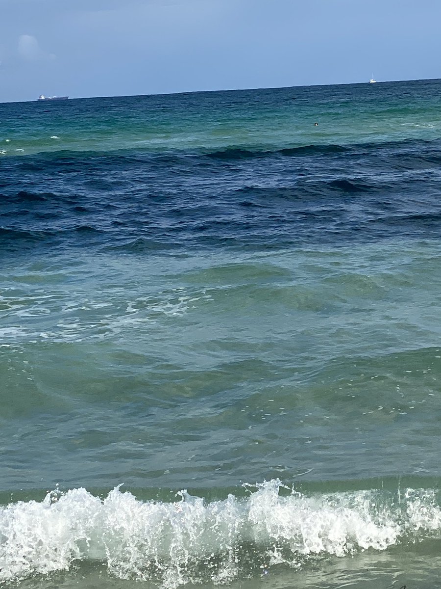 Miami is amazing today