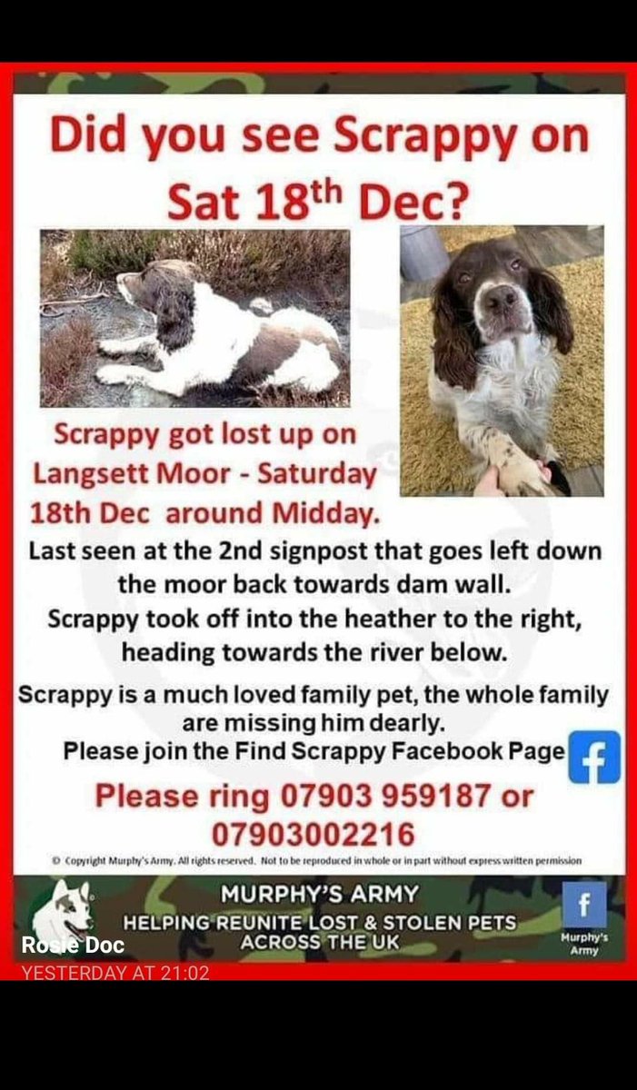 Helengus13's tweet photo. Please keep sharing!! Let's get Scrappy home!!
#bringscrappyhome #findscrappy
#teamscrappy
#scrappy #langsettmoor #murphysarmy https://t.co/hzPkDICuUr