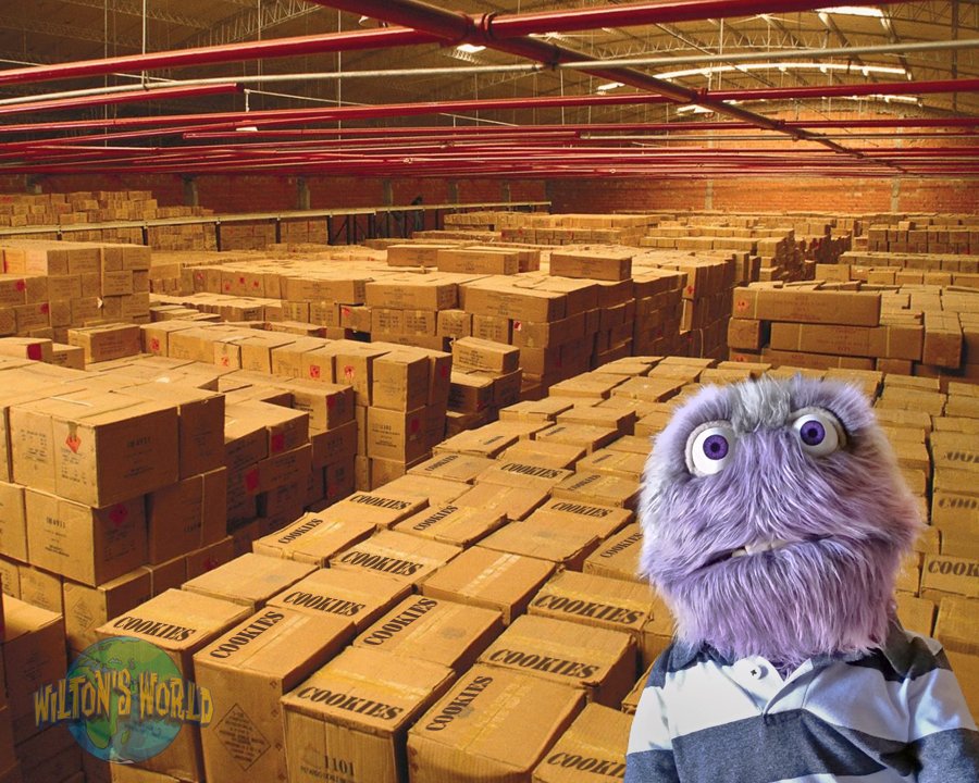 Wiltons_World's tweet photo. If Elmo still wants a cookie, I've got a couple extra. Some people hoard toilet paper... I hoard cookies! #Cookies #ElmoVsRocco https://t.co/wSJAKkzg23