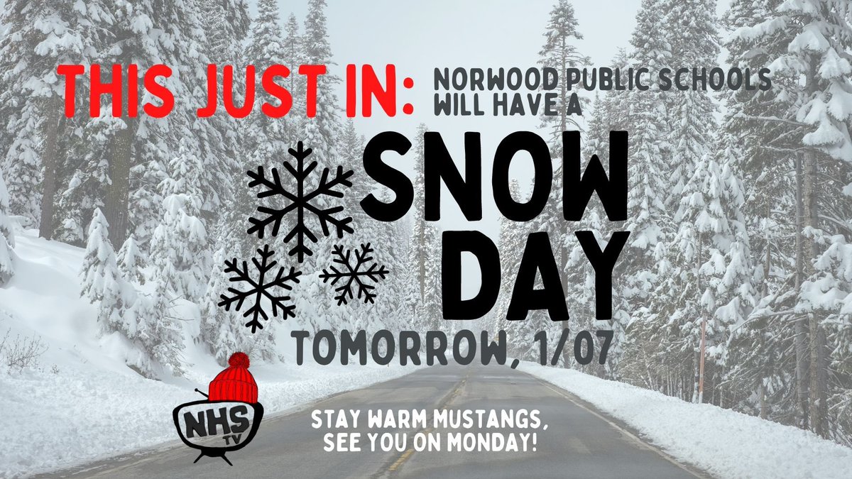 ☃️ Enjoy your snow day NHS!