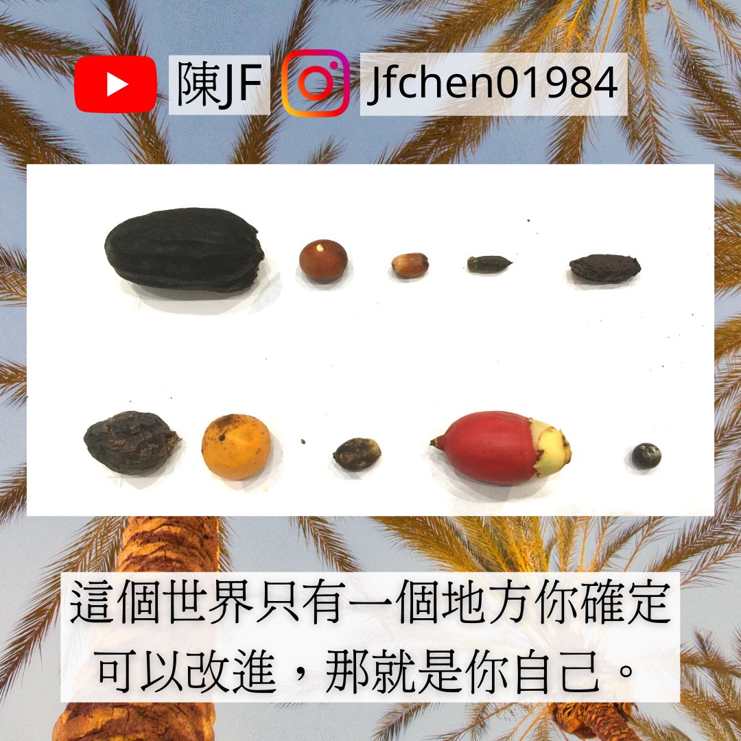 陳jf Jfctwit Twitter