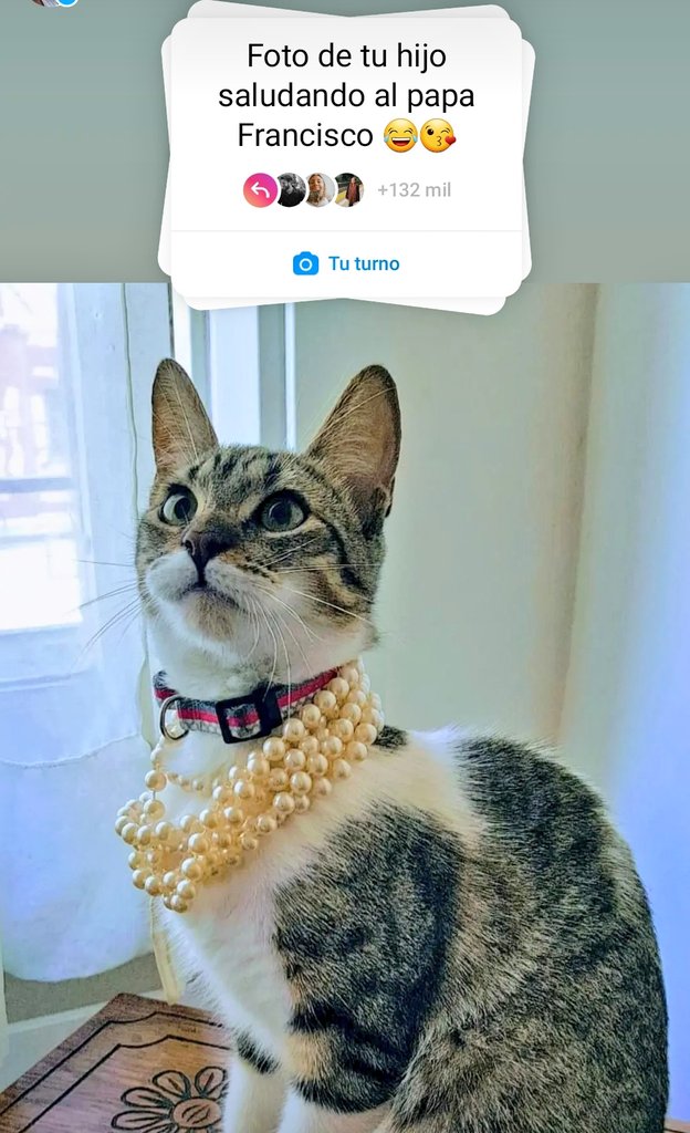 malexiar's tweet photo. IG tiene estas cosas...😊
#SweetPoppy😻 #CuchuPasión https://t.co/ZFkrR308M0