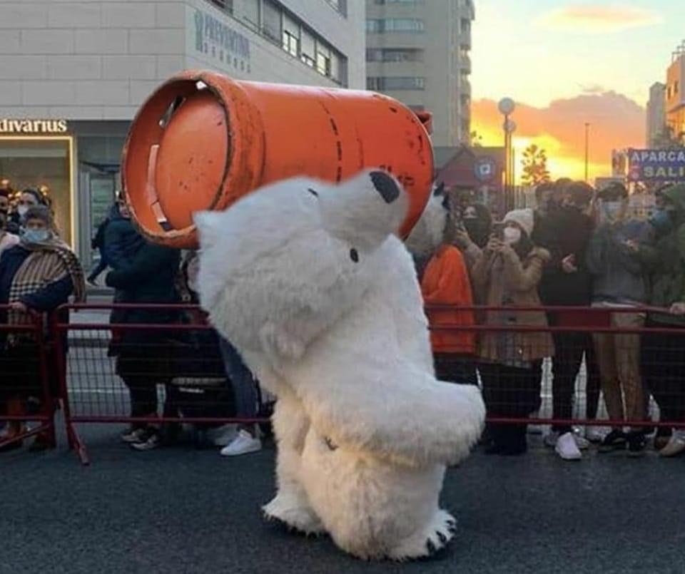 MaestroBetico's tweet photo. En serio, el oso de Cádiz, lo mejor de 2022🤣🤣 https://t.co/QuJn68kbzn