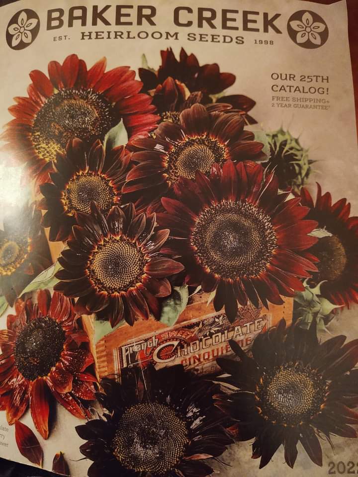 goodoldkj's tweet photo. Look at what came in the mail today!
#SeedAddict #SeedCatalog
#BakerCreekHeirloomSeeds
#Homestead #SpringIsComing https://t.co/bOJNitruHg