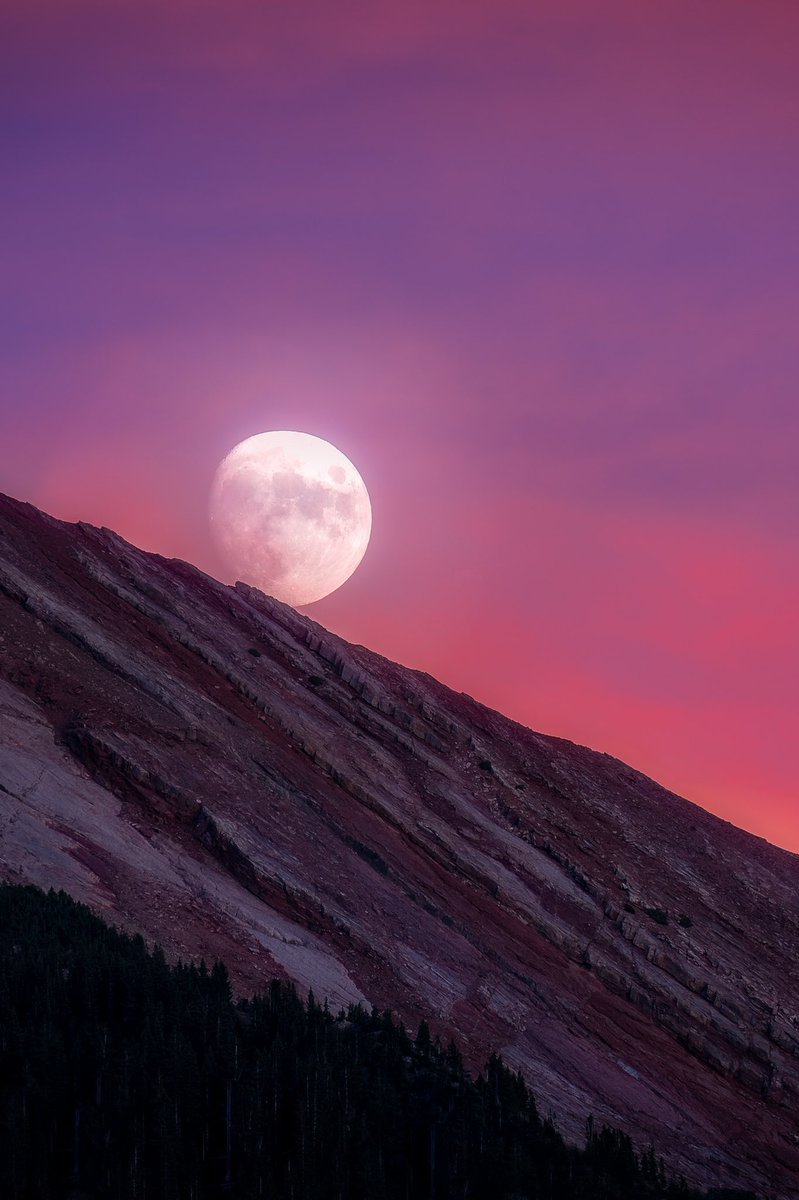 Aesthetics (@aestheticspost_) on Twitter photo 