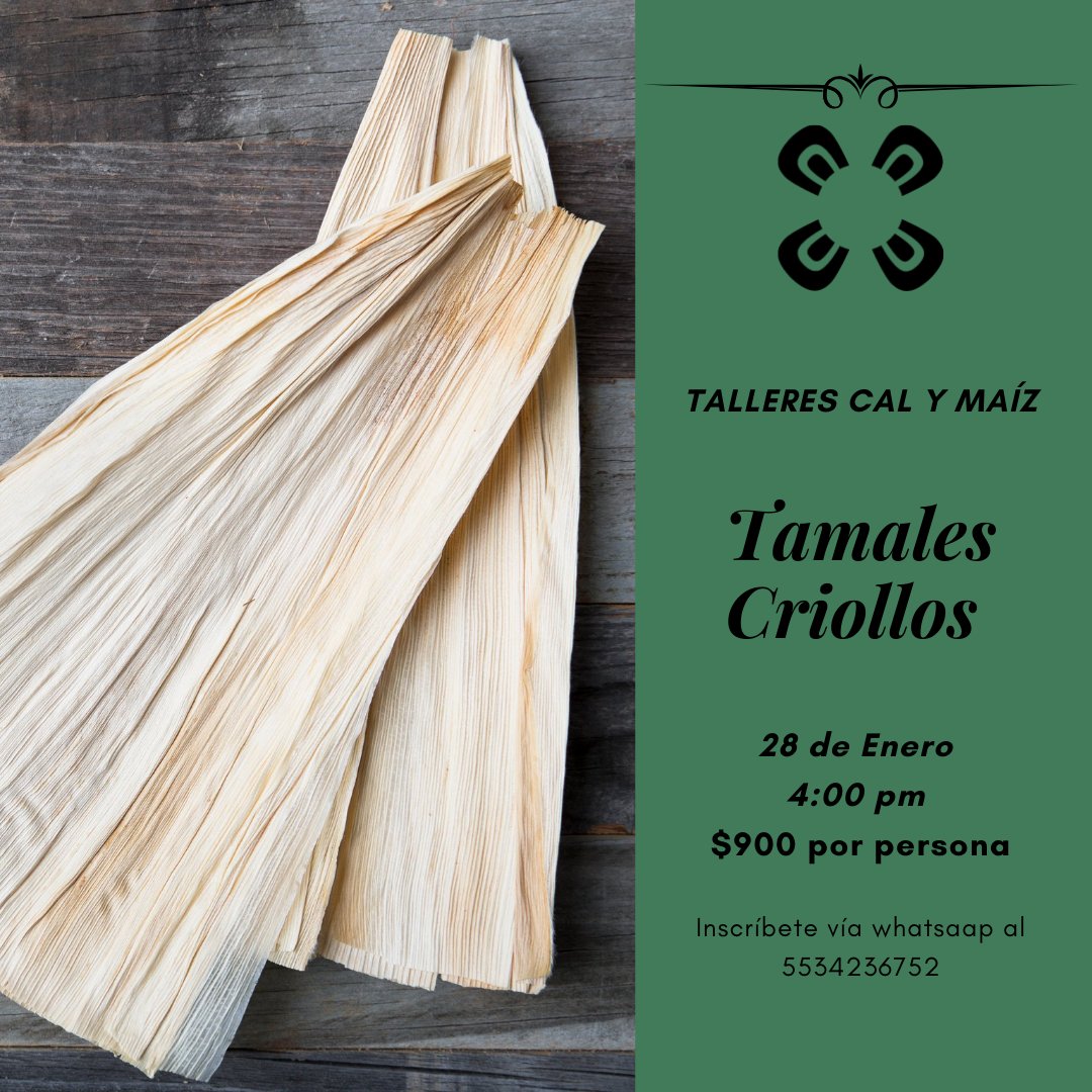 calymaiz's tweet photo. Iniciamos Enero impartiendo 2 talleres en la CDMX.

¿Quieres saber más del maíz, su historia, evolución y hacer tus propias #tortillas? ¡Te esperamos el 14 de Enero a las 4pm
¿Te salió el muñeco en la rosca? ¡Te enseñamos a hacer #tamales! 28 de Enero en nuestras instalaciones. https://t.co/n8t2gnkdQ2