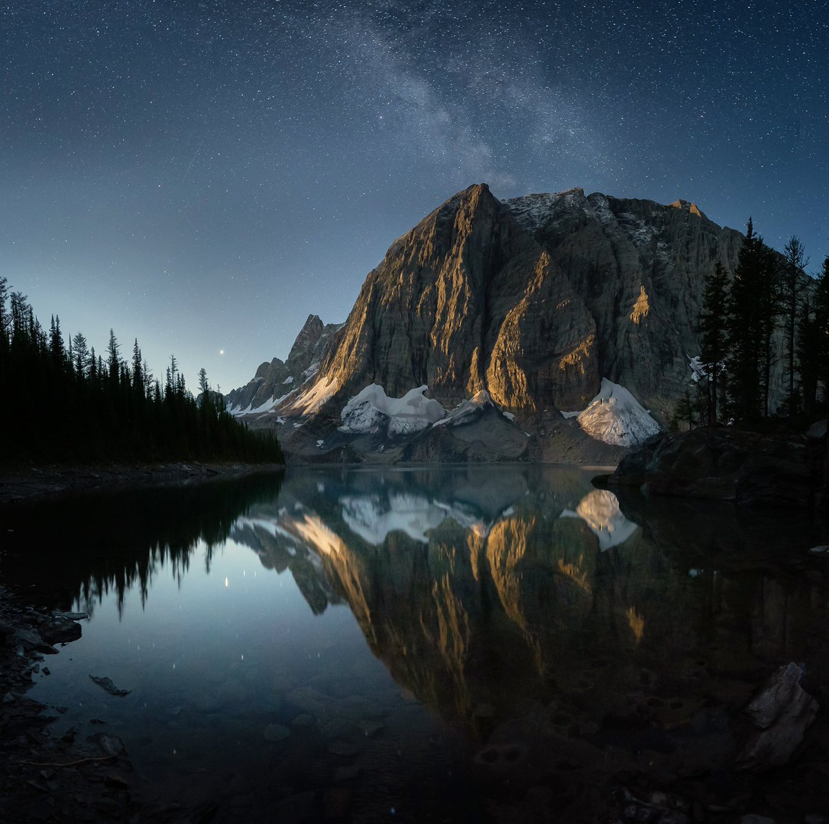 Peter O'Hara tweet media