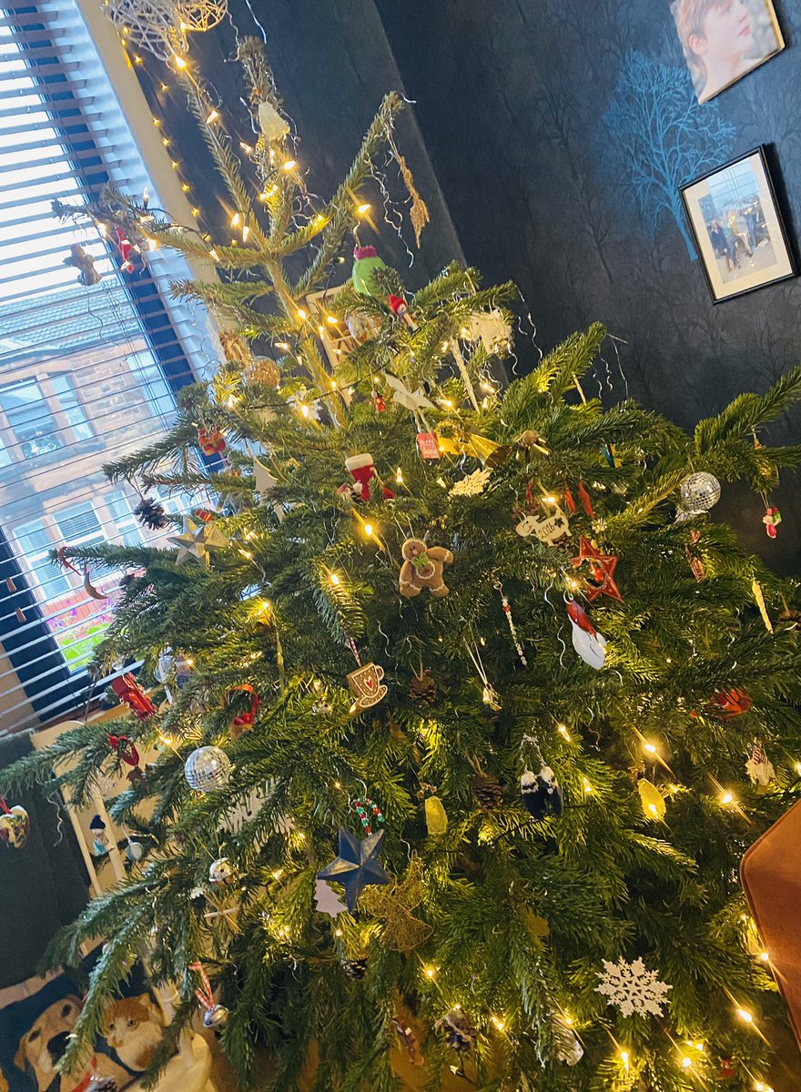 govangal68's tweet photo. Our lovely 🎄 shortly before we #undecorated it today - which prompts my annual reminder that #FairyLightsAreNotJustForChristmas You can never have too many sets around the house. #12andcounting here in G51 https://t.co/X3EHUqyIgz