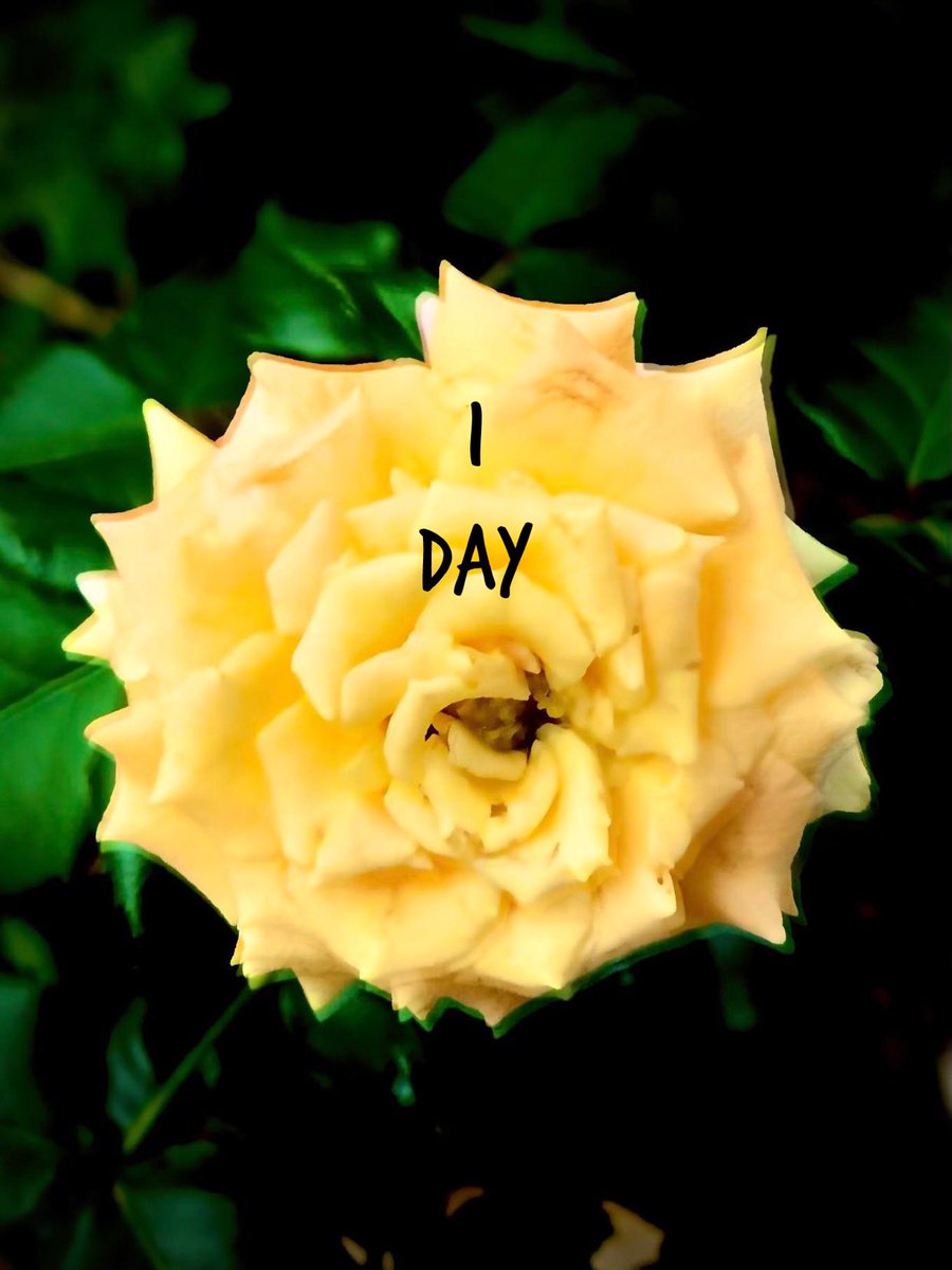 Tomorrows the day everyone! Our new song drops “Call Me A Sucker For The Cliche” will drop at midnight tonight and the music video will drop at 10am CST! We’re starting this year off strong so don’t miss it! Don’t forget to presave on Spotify!

distrokid.com/hyperfollow/qu…