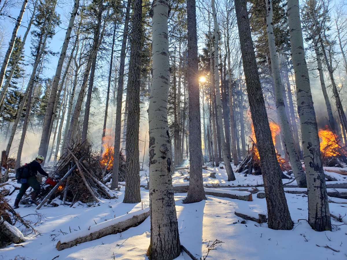 NIFC_Fire's tweet photo. Who doesn't want a cozy bonfire on a snowy day?
Reducing hazardous fuels through #RxFire is part of the cycle of each #FireYear. During winter, conditions are favorable in many places where snow helps prevent the spread of spot fires.
📸Valles Caldera National Preserve, NPS https://t.co/vYaSZ0XHAS