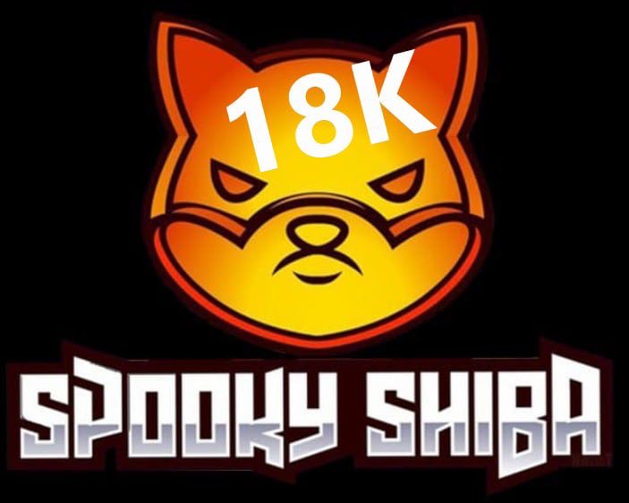 I’d like to challenge <a href="/cz_binance/">CZ 🔶 BNB</a> to follow us, a project on his own chain, rather than one of his random influencers he follows that doesn’t support #BNB