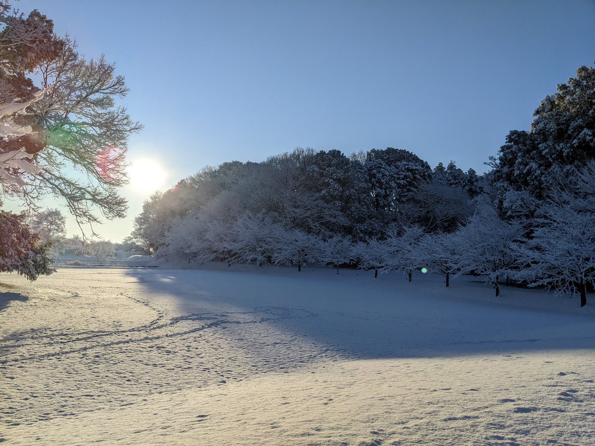 pumi's tweet photo. 今朝の様子です
10センチくらい積もってたんじゃないかと https://t.co/kuesT2xAz9