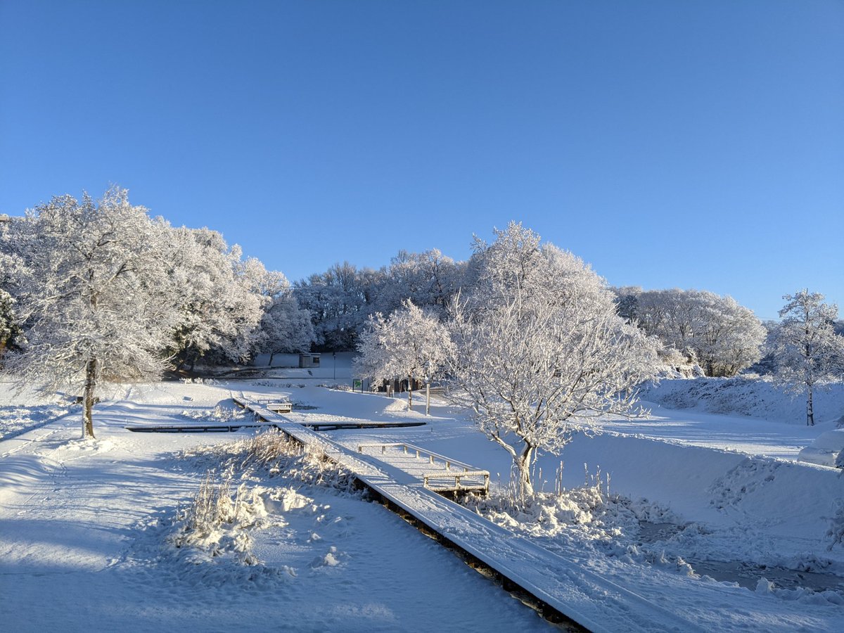pumi's tweet photo. 今朝の様子です
10センチくらい積もってたんじゃないかと https://t.co/kuesT2xAz9