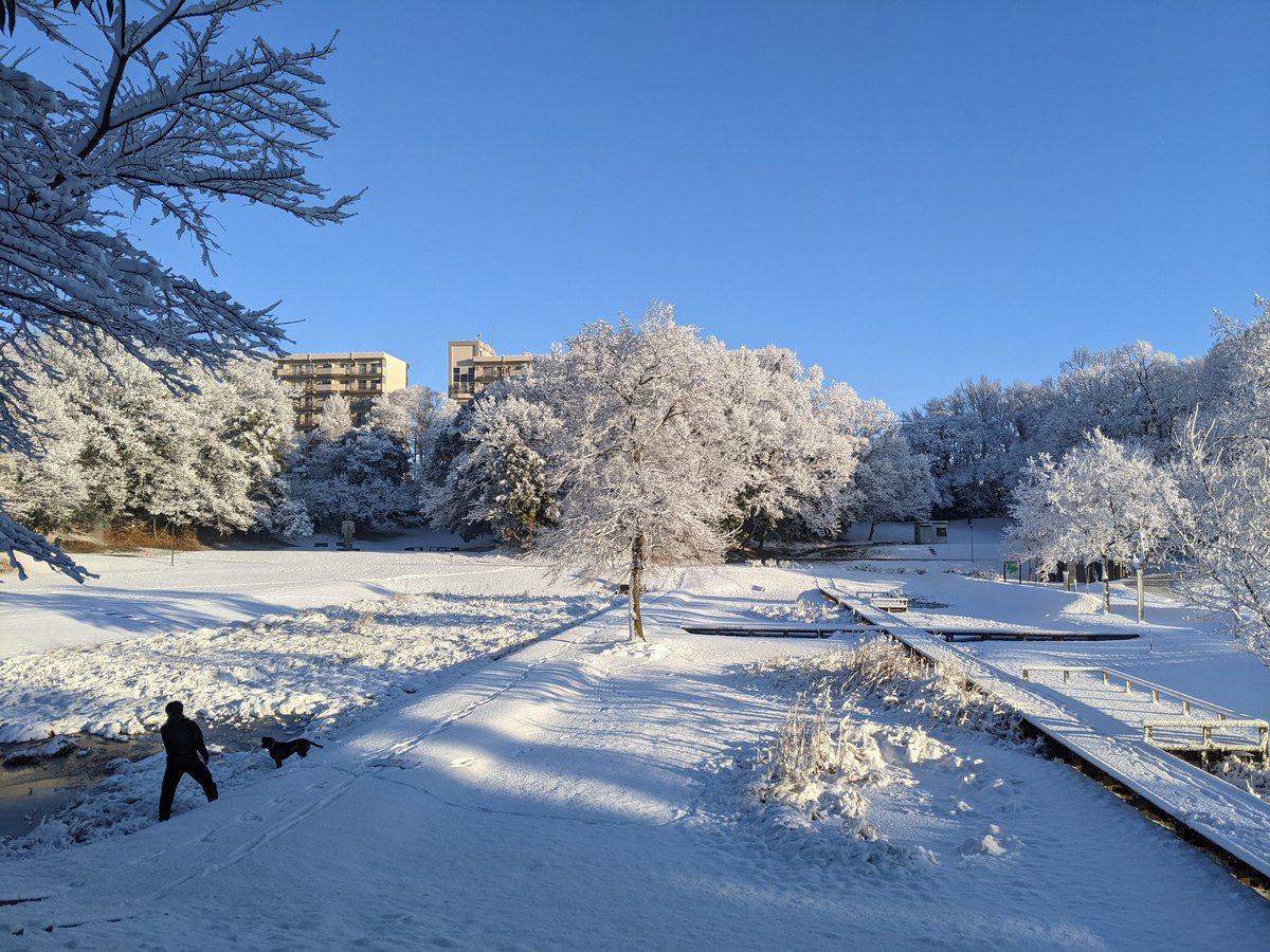 pumi's tweet photo. 今朝の様子です
10センチくらい積もってたんじゃないかと https://t.co/kuesT2xAz9