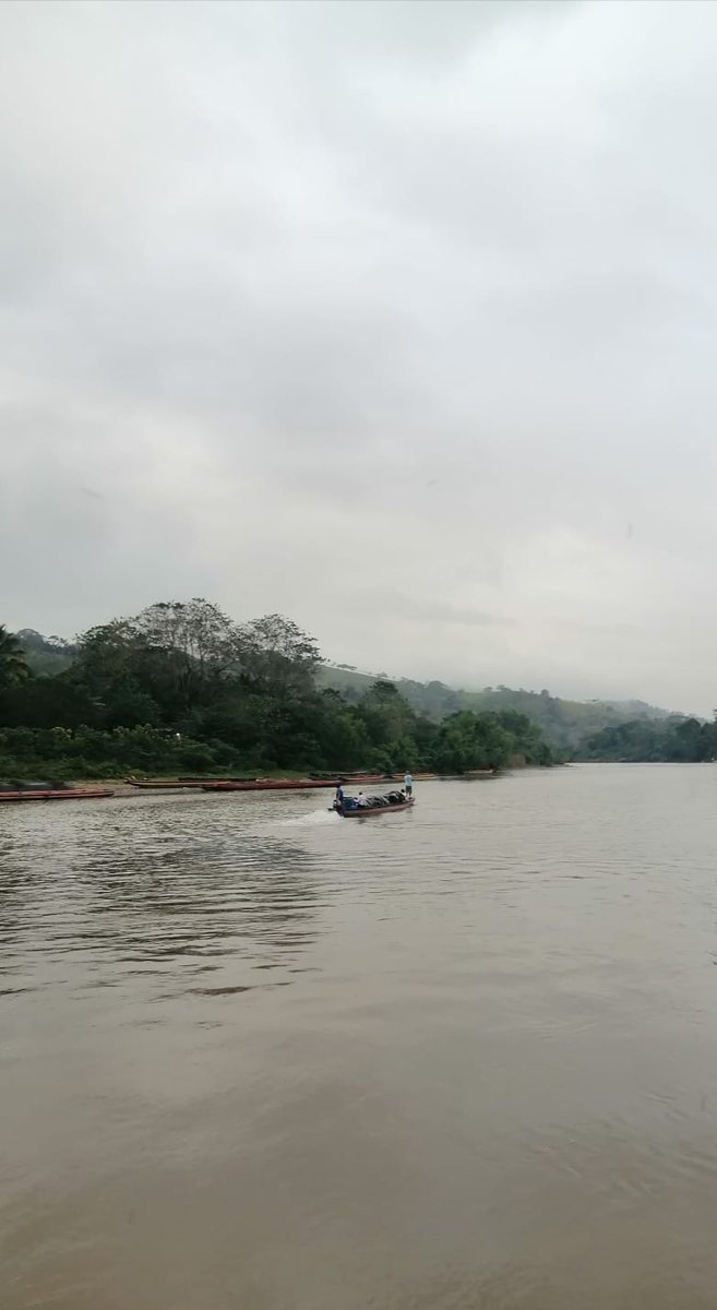 MinEmpren's tweet photo. Con la energía victoriosa de un pueblo trabajador avanzan familias productoras Indígenas, Miskitas y Mayagnas de 72 comunidades de Alto Wangki Bocay, Región Autonóma de la Costa Caribe Norte, quienes fortalecerán el desarrollo productivo de la zona. 

#2022EsperanzasVictoriosas https://t.co/aZDAQGxbmE