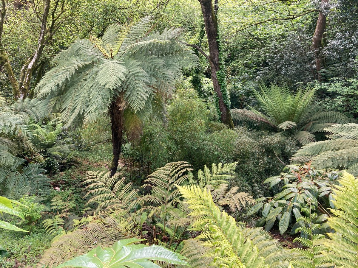 MOMENT
our theme today @#TheDailyHaiku to #haiku to
Weekly Theme: SOUND
Season Word: NEW YEAR
Weekend Renga from 6pmGMT on facebook.com/groups/THEDAIL… 
#WritingCommunity #writing #poetry #micropoetry <a href="/StanPhillips20/">Stan Phillips</a> <a href="/AmitaPaulIAS/">Amita Paul IAS</a> <a href="/BediMona/">Mona Bedi</a> <a href="/WillDFord/">Will Ford</a> <a href="/Hospice_Poet/">Dr Phil Isherwood</a> <a href="/squinancywort1/">Phil Barnett</a>