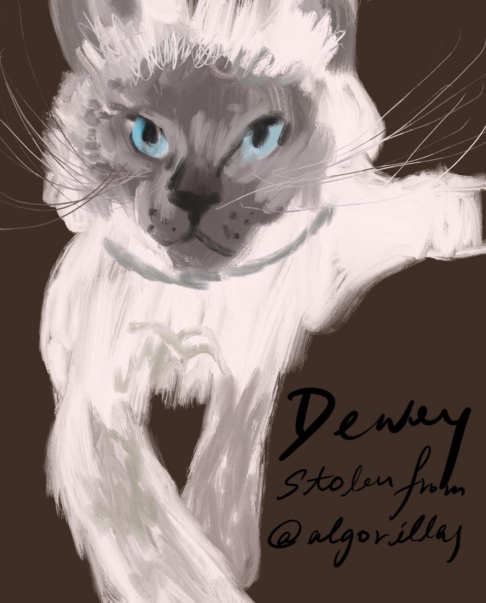 ALGOCat_thief's tweet photo. Thank you to @vaunworldowater for snapping up Dewey, @vaunworldowater is now officially a cat thief, Dewey has been stolen from @algorillas 

#algonft #algofam
 #nftcats #NFTCommunity #NFTdrop #NFTshill $algo #algorand https://t.co/lo0knfVgXy