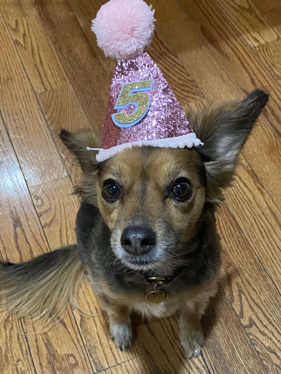 Happy Birthday to me!🥳🎂🎉🎈🎁