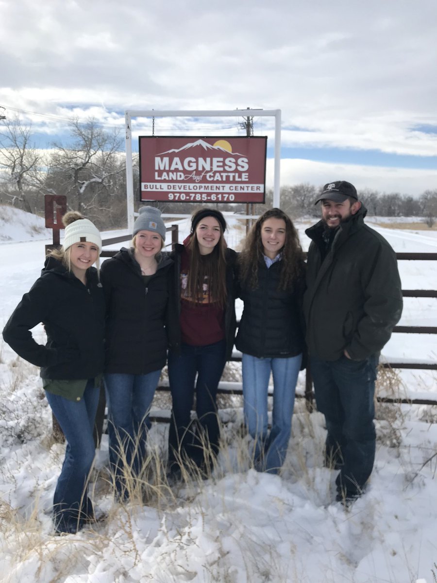 Brandon Freel tweet media