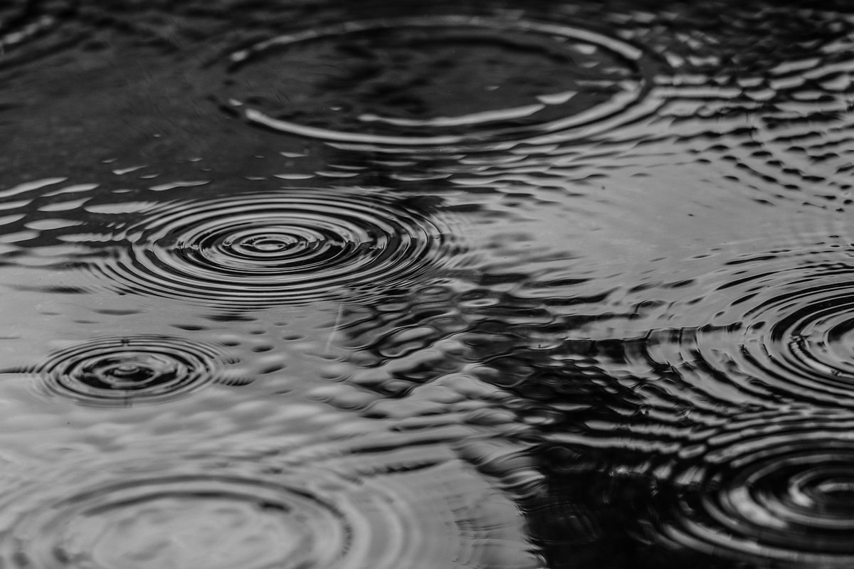PullmanPolice's tweet photo. Snow + rain = standing water on some local roadways. Reduce speed & navigate with caution. Report traffic safety hazards by calling non-emergency dispatch at (509) 332-2521. #MyPD
#WhenItRainsItPours #IfItsNotOneThingItsAnother https://t.co/tekxiQV91w