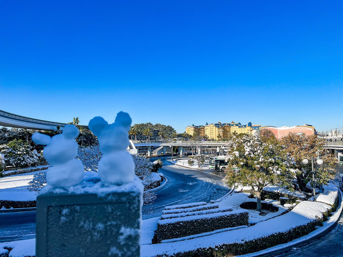 MezzoMikiD's tweet photo. 本日の東京ディズニーリゾート☆
https://t.co/WePAhNtUNG https://t.co/agYYzQNPjZ