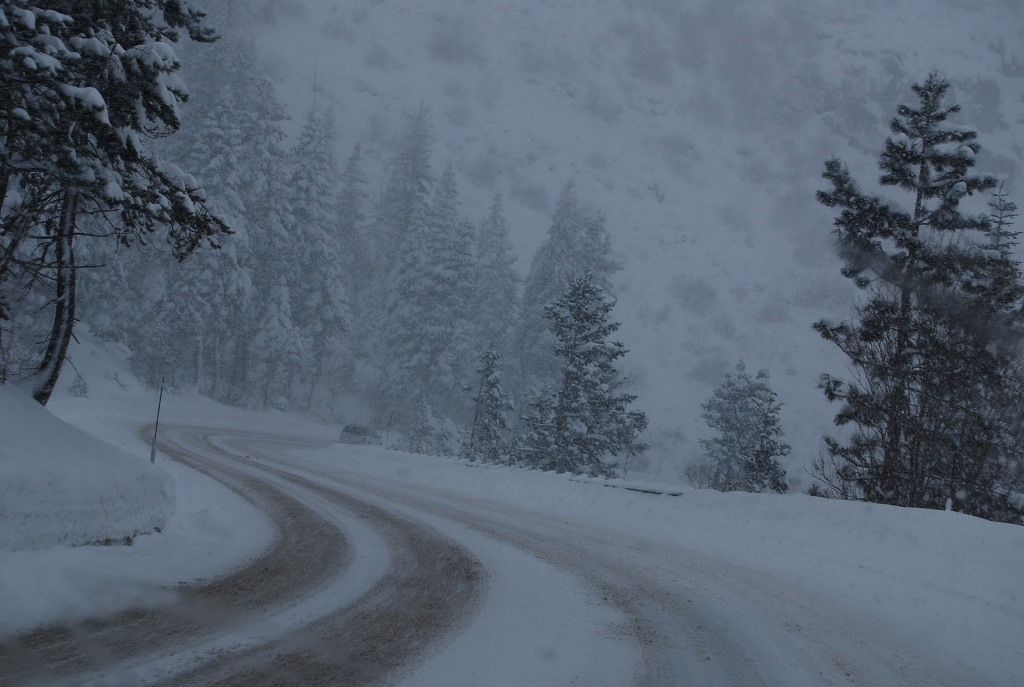зимняя буря. Snowstorm. метель фото. сильная метель. вьюга фото.