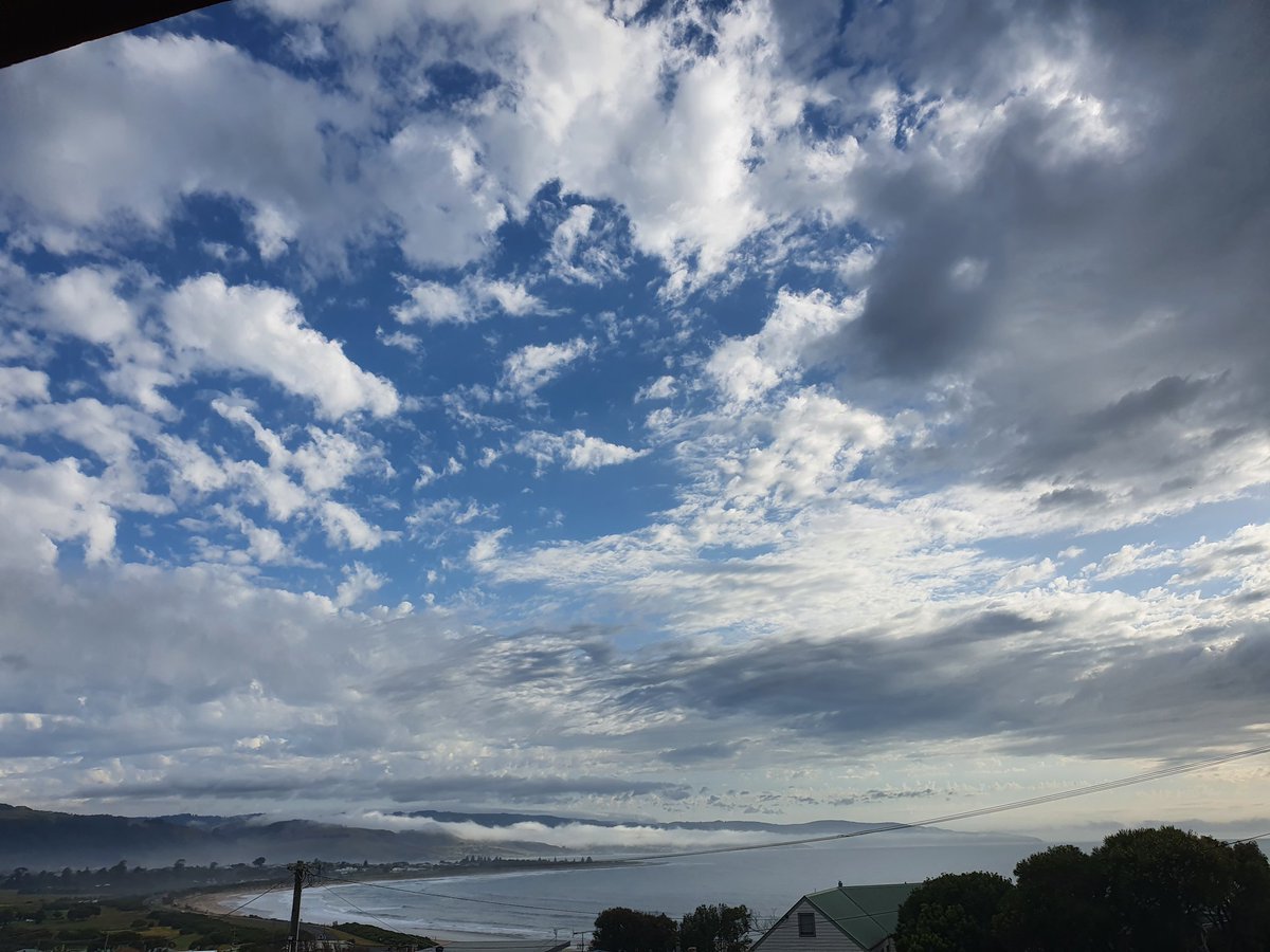 Cindy Bohan tweet media