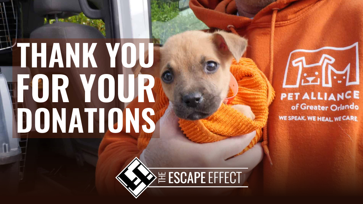 theescapeeffect's tweet photo. As a result of your kindness this holiday season, the Pet Alliance of Greater Orlando is receiving a check in the amount of $559!
https://t.co/myPK0rSSuK

#theescapeeffect #escapegame #escaperoom #pets #petadoption #thankyou https://t.co/CDouP5qahB