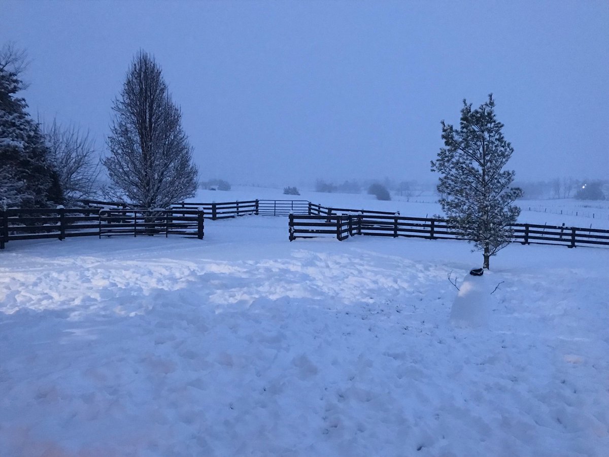 devinbice88's tweet photo. Can’t help but to enjoy our FIRST ever Snow Day as a Family!! Kentucky is alittle different then Florida 🤣 We had to represent @JaxShrimp while making our snowman!! #FloridaRaised https://t.co/X1Awu2U7rY