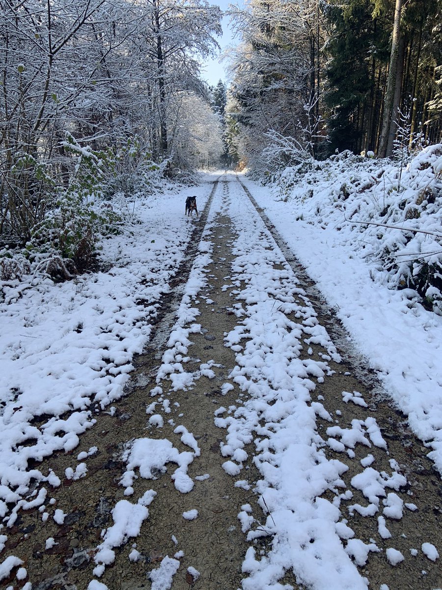 KalinRamona's tweet photo. a little snow!!❤️💪 https://t.co/c9xEl4TY3t