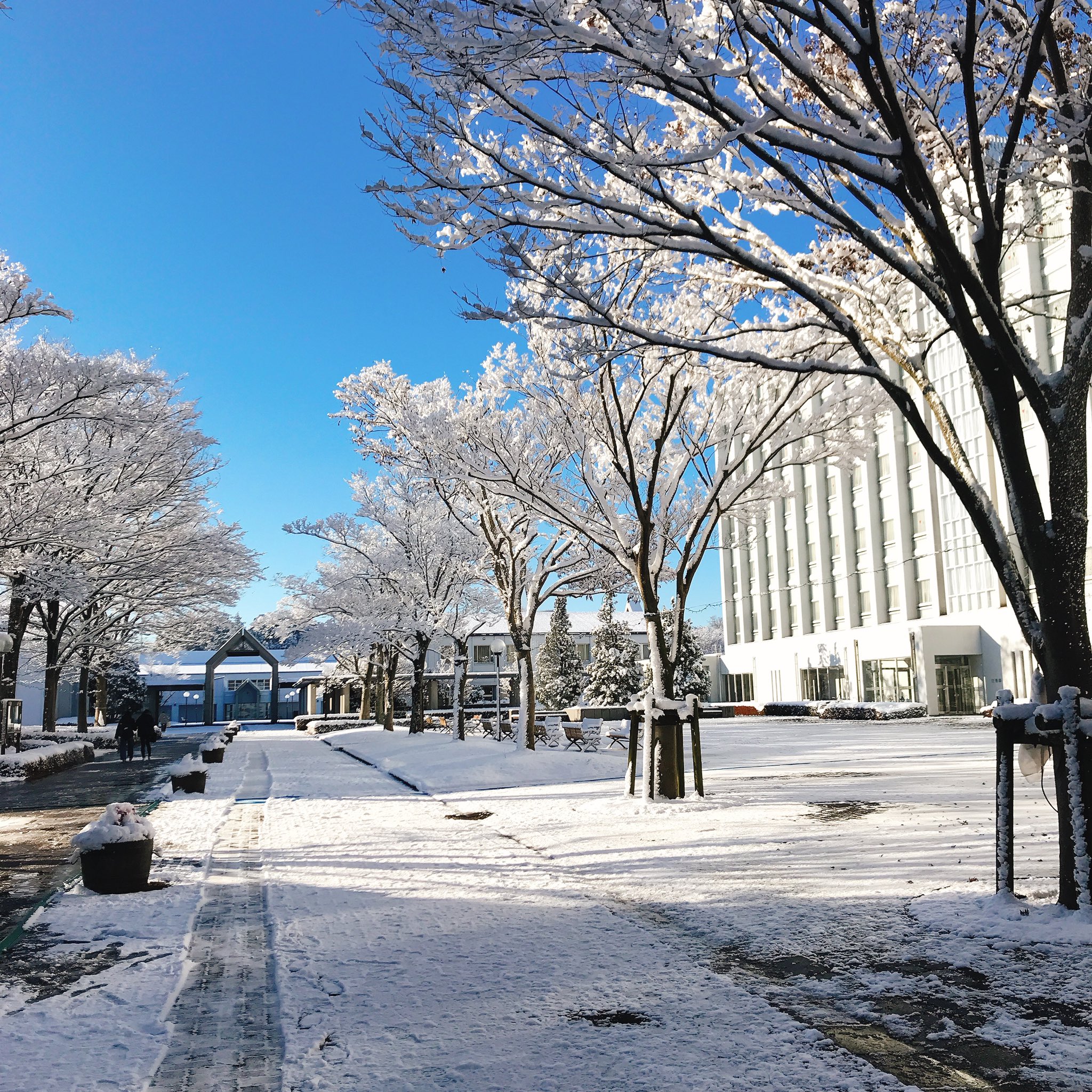 川村学園女子大学生活文化学科 K Seikatsubunka Twitter