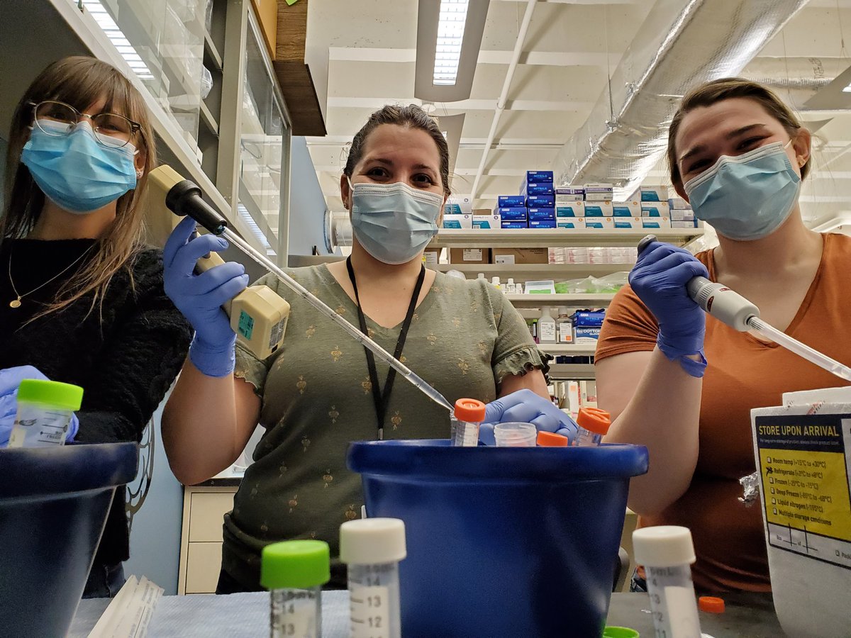 Dr. Corena Grant (@cvsgrant) on Twitter photo Today was busy and tiring, but I couldn't have pulled off this #successful #new experiment without the help of <a href="/lauren__otto/">lotto</a> and <a href="/lindsaystrehle/">Lindsay Strehle, PhD</a>
#teamworkmakesthedreamwork
#labfun #sciencetime
<a href="/PyterLab/">Pyter Lab ๐ฉ๐ปโ๐ฌ๐๐</a> <a href="/OSUNeuroscience/">The Ohio State Department of Neuroscience</a> <a href="/OSUCOM_WIM/">OSUCOM Women in Medicine</a> <a href="/OhioStateNGP/">OSU Neurosci Grad Program</a> <a href="/OhioStateMSTP/">MSTP at Ohio State College of Medicine</a> <a href="/OhioStateWIMS/">Ohio State WIMS</a> Today was busy and tiring, but I couldn't have pulled off this #successful #new experiment without the help of <a href="/lauren__otto/">lotto</a> and <a href="/lindsaystrehle/">Lindsay Strehle, PhD</a>
#teamworkmakesthedreamwork
#labfun #sciencetime
<a href="/PyterLab/">Pyter Lab ๐ฉ๐ปโ๐ฌ๐๐</a> <a href="/OSUNeuroscience/">The Ohio State Department of Neuroscience</a> <a href="/OSUCOM_WIM/">OSUCOM Women in Medicine</a> <a href="/OhioStateNGP/">OSU Neurosci Grad Program</a> <a href="/OhioStateMSTP/">MSTP at Ohio State College of Medicine</a> <a href="/OhioStateWIMS/">Ohio State WIMS</a>