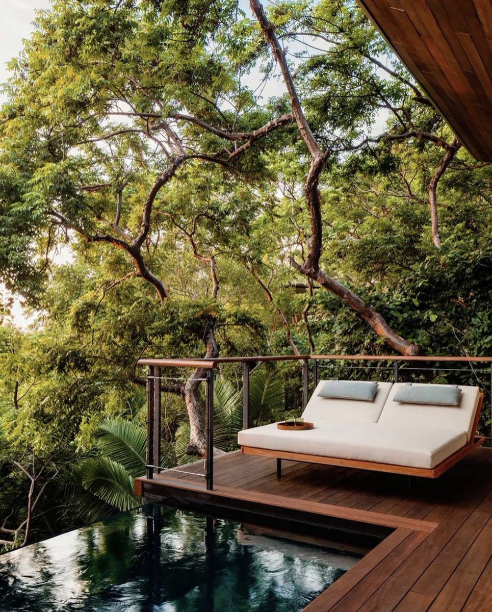 don’t quit your (adult treehouse) daydream