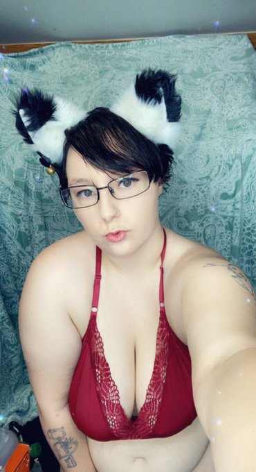 Meow would you pet me? https://t.co/5myIchsc2f<a href="/tag/newprofilepic"class="tags"><span>#newprofilepic</span></a>