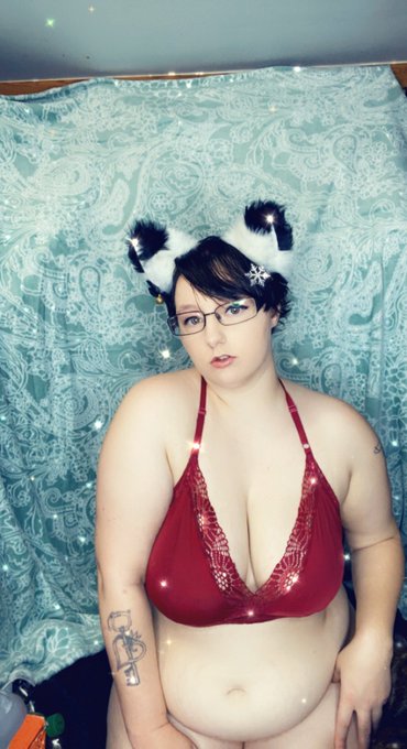 Meow would you pet me? https://t.co/5myIchsc2f<a href="/tag/newprofilepic"class="tags"><span>#newprofilepic</span></a>