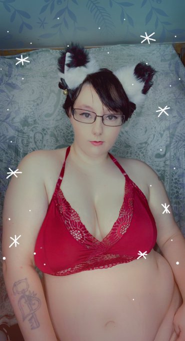 Meow would you pet me? https://t.co/5myIchsc2f<a href="/tag/newprofilepic"class="tags"><span>#newprofilepic</span></a>
