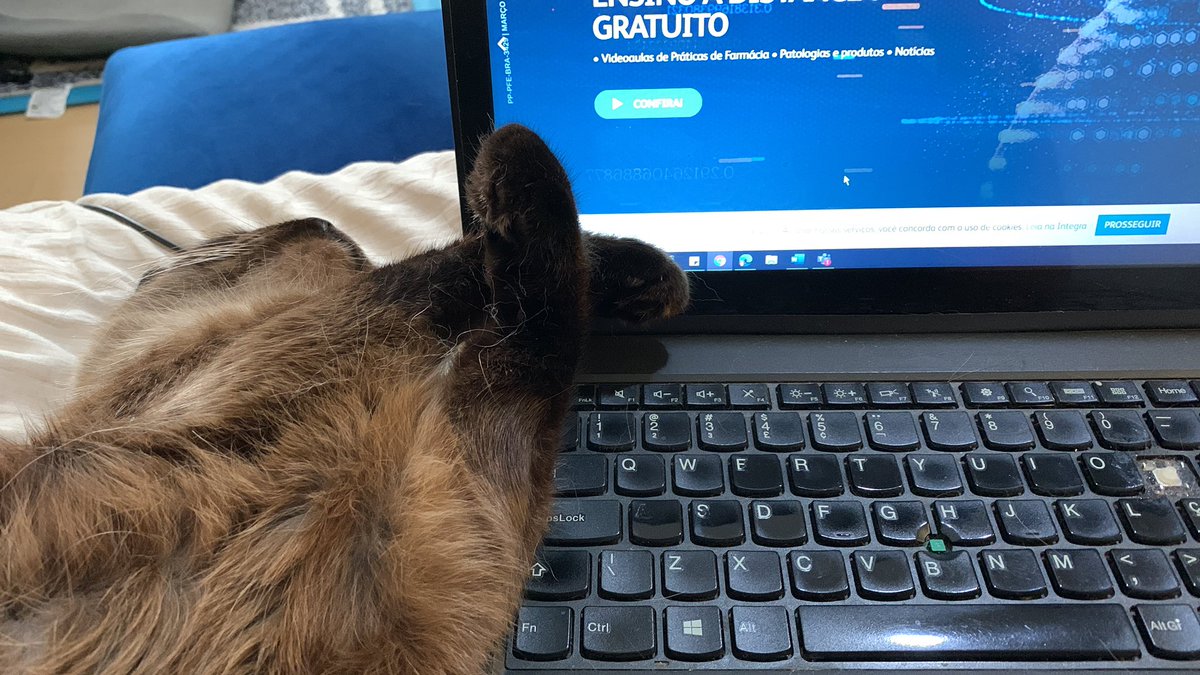 #PaisDePet Papa e São Francisco? Não era pai de pets?