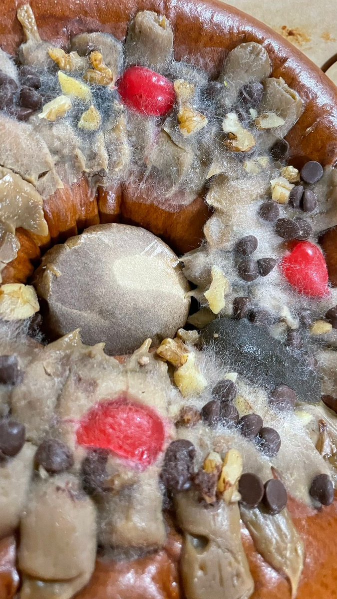 ingrid_izurieta's tweet photo. Es terrible que esto esté pasando! @SweetandCoffee cómo puede ser posible que vendan productos en mal estado?? https://t.co/nJ6VQOladw
